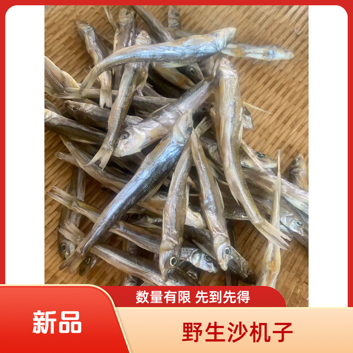 野生沙机子 野生小鳑鲏 数量有限 先到先得