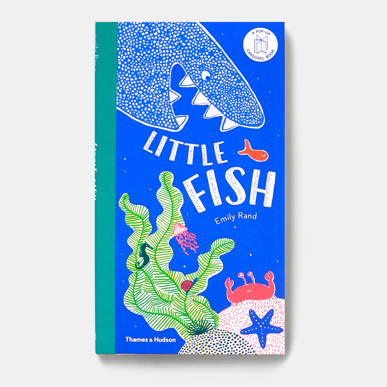 【瑕疵】Little fish 外文原版 立体书 绘本 低幼游戏书