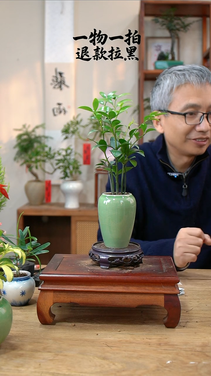 完全开放这***。竹柏290