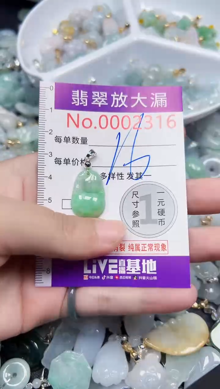 颈饰未镶嵌翡翠2316