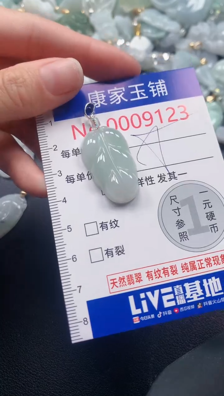 颈饰未镶嵌翡翠9123