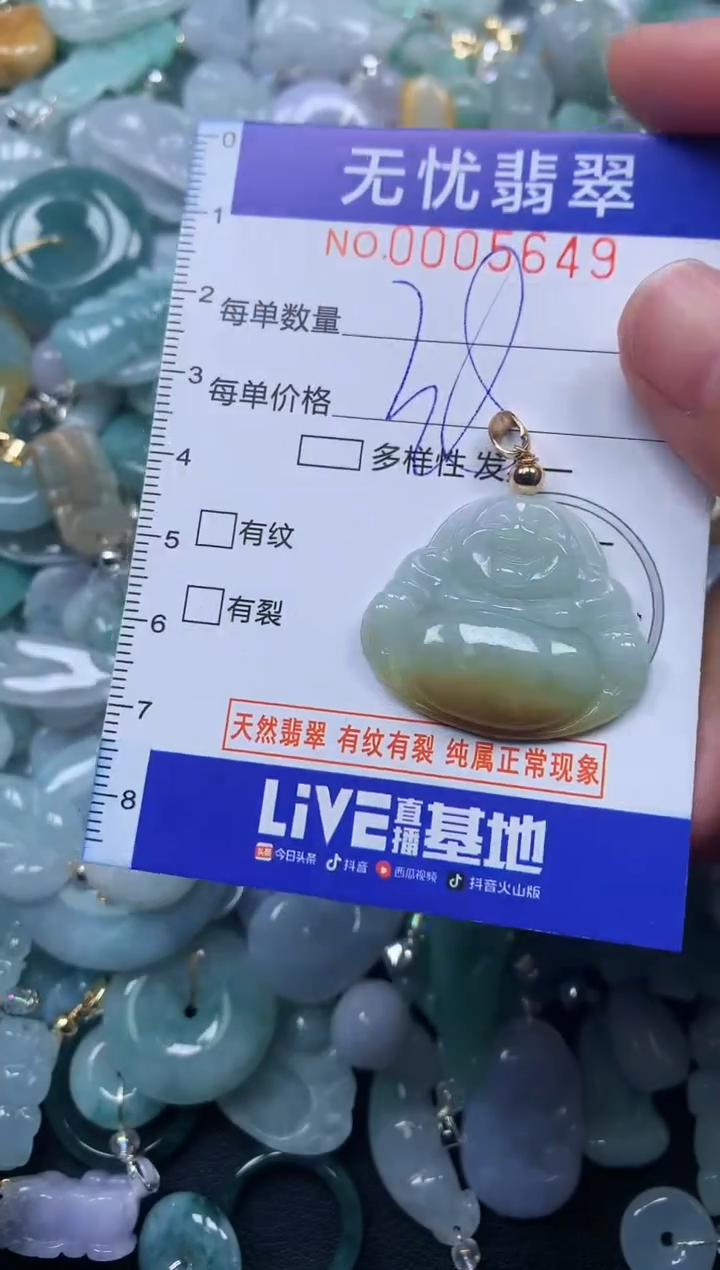 颈饰未镶嵌翡翠5649