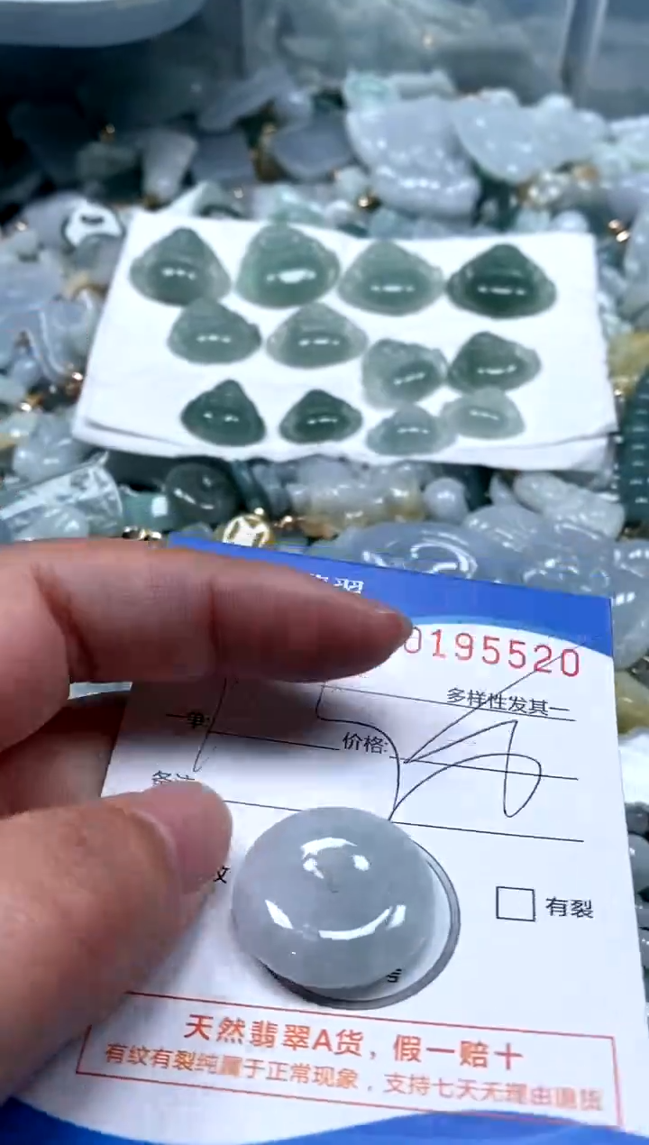 【闪购商品】翡翠颈饰未镶嵌闪购商品0195020