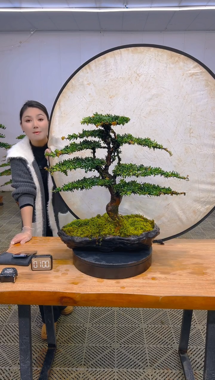 无花朵一物一拍一物一拍