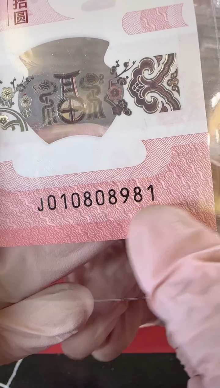 【闪购商品】塑料2025蛇钞单张裸啊啊啊啊啊啊