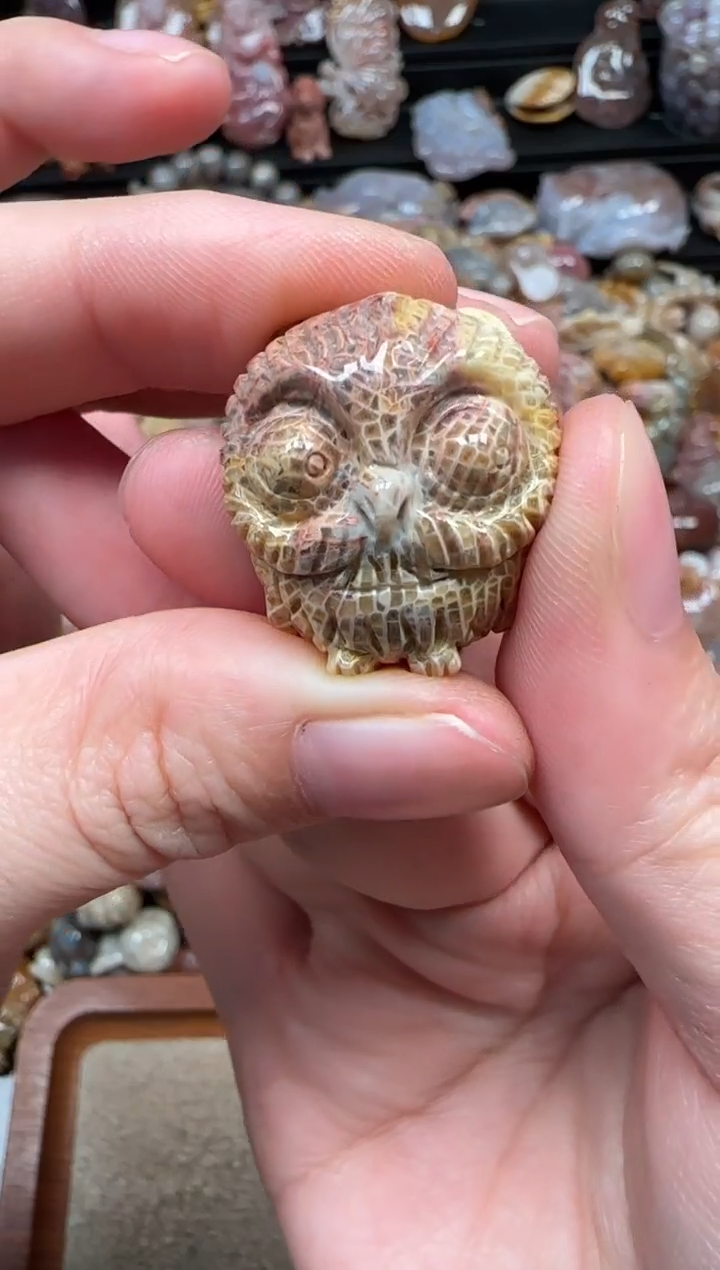 颈饰未镶嵌硅化珊瑚（珊瑚玉）842