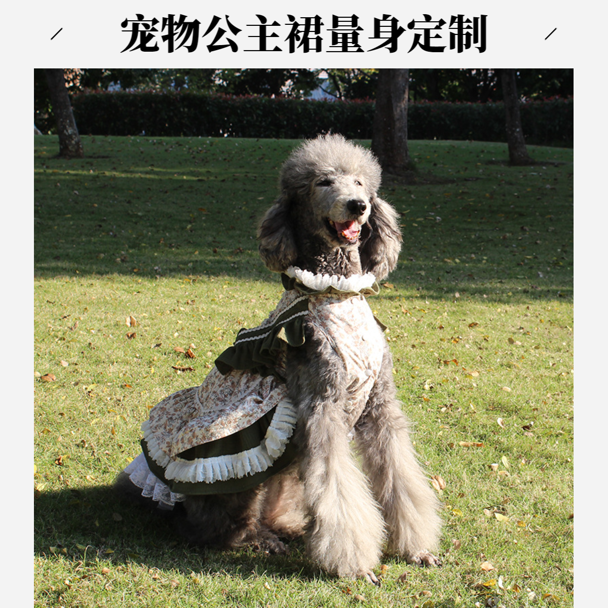 宠物狗狗高档公主裙春秋季衣服贵宾犬巨贵女仆裙子连衣裙量身定制