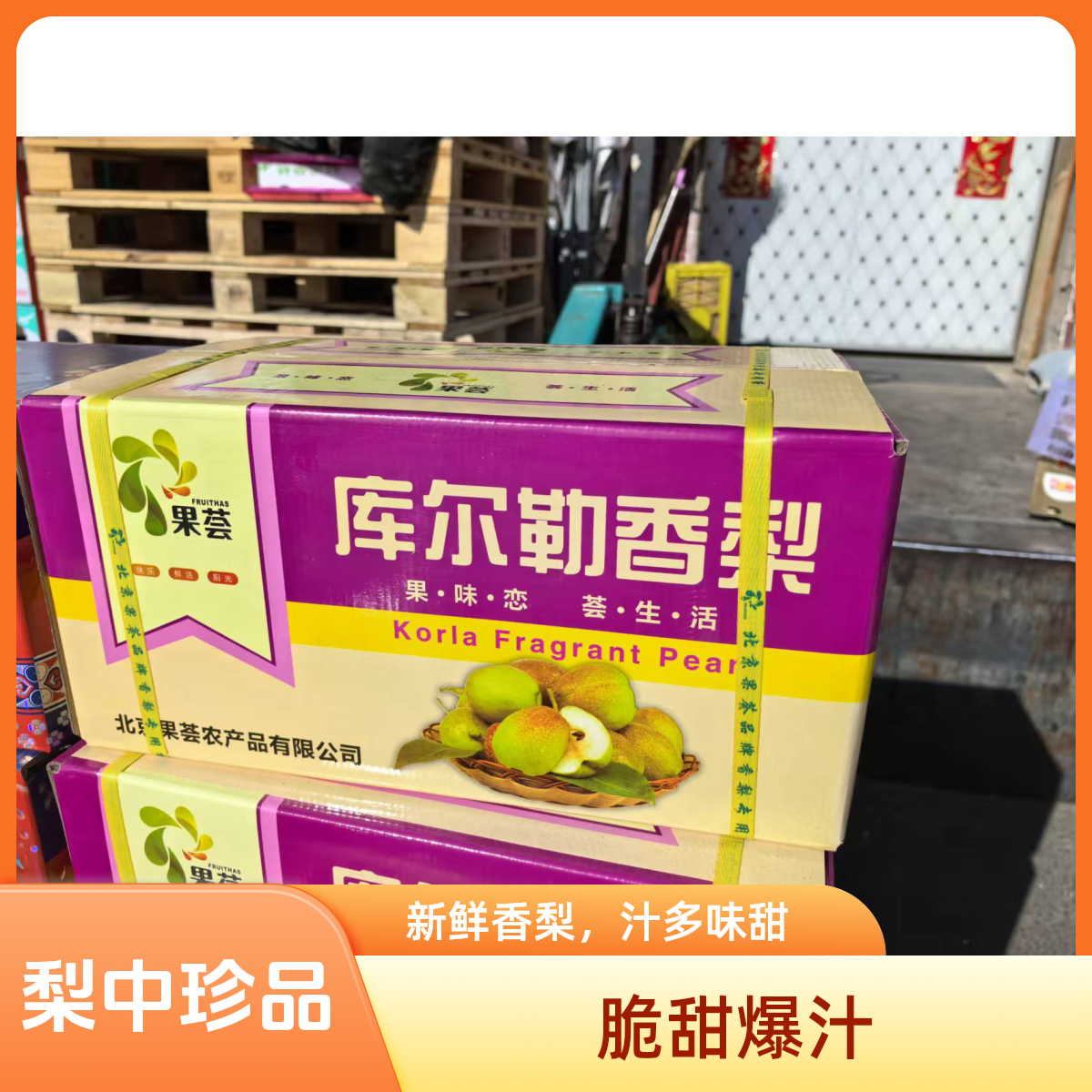 正宗新疆库尔勒香梨（4斤）顺丰包邮次日达