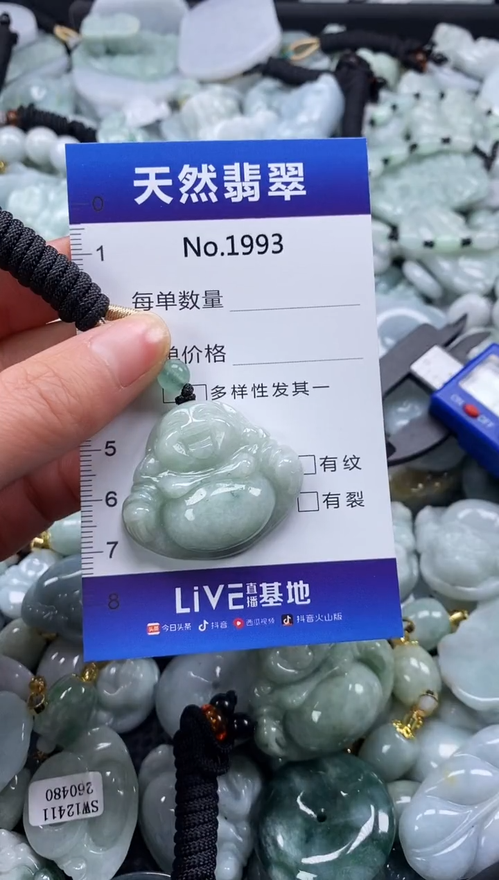 【闪购商品】翡翠颈饰未镶嵌缅甸A货翡翠1993