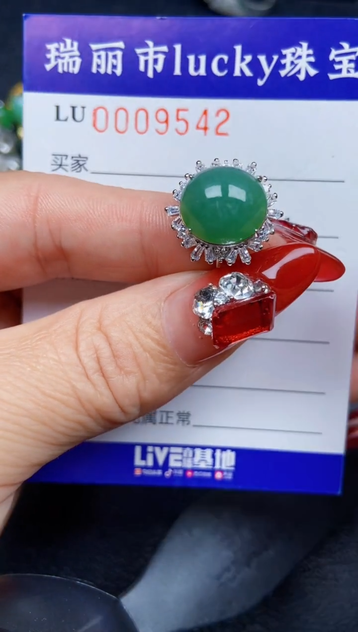 【闪购商品】翡翠颈饰银S925镶嵌9542