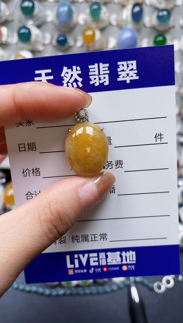 【闪购商品】翡翠颈饰银S925镶嵌0283