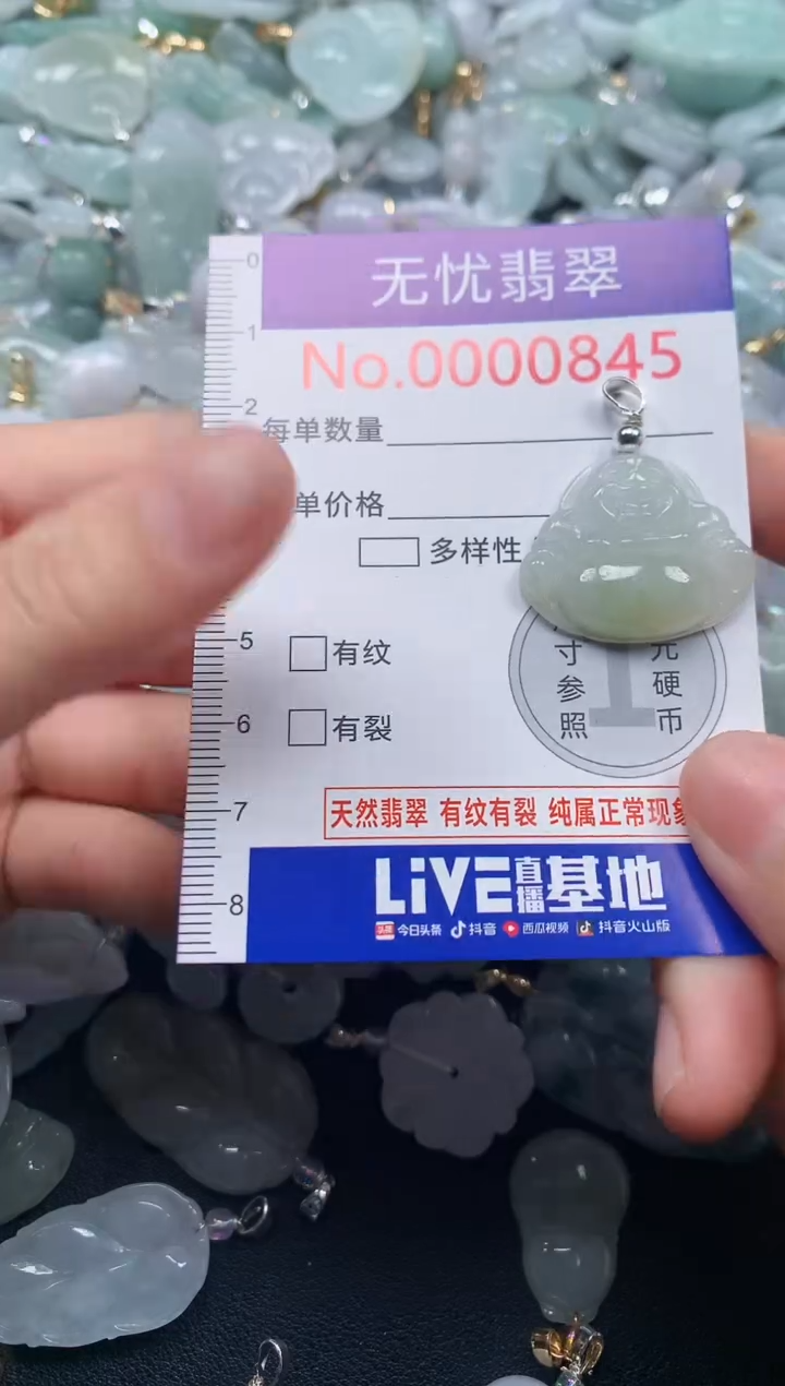 颈饰未镶嵌翡翠845