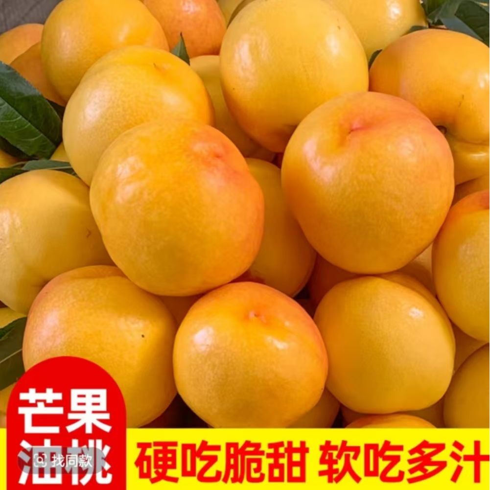 【蒙阴芒果黄油桃超甜软硬两吃】东三省顺丰包邮当季新鲜水果桃子桃子同城送山东省