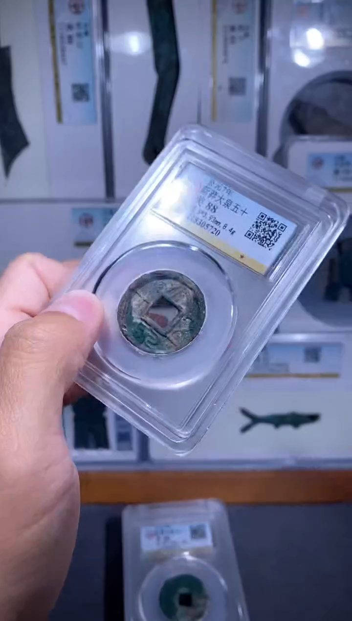 【闪购商品】铜品泉  大泉五十一枚