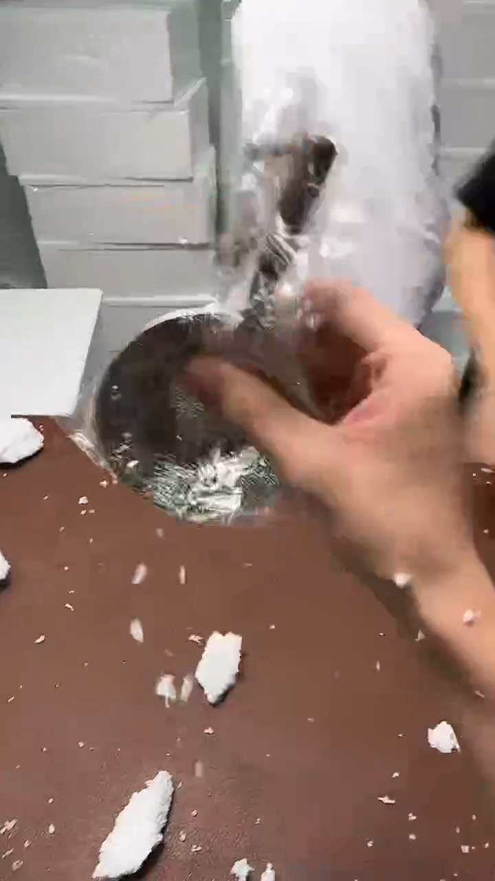 瓷片@@@@@@@@@@@@@@@@@@@1