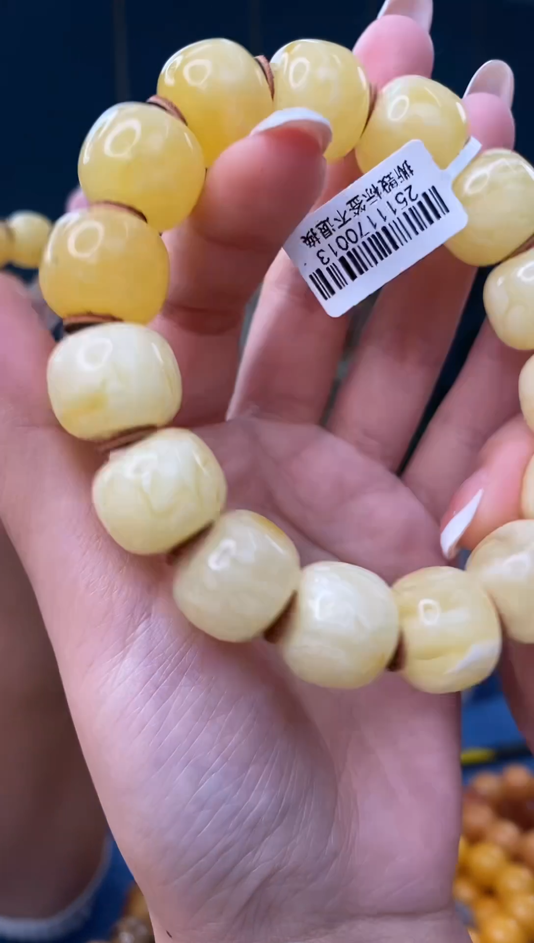 裸石琥珀未镶嵌12/14多样性发其一25微瑕