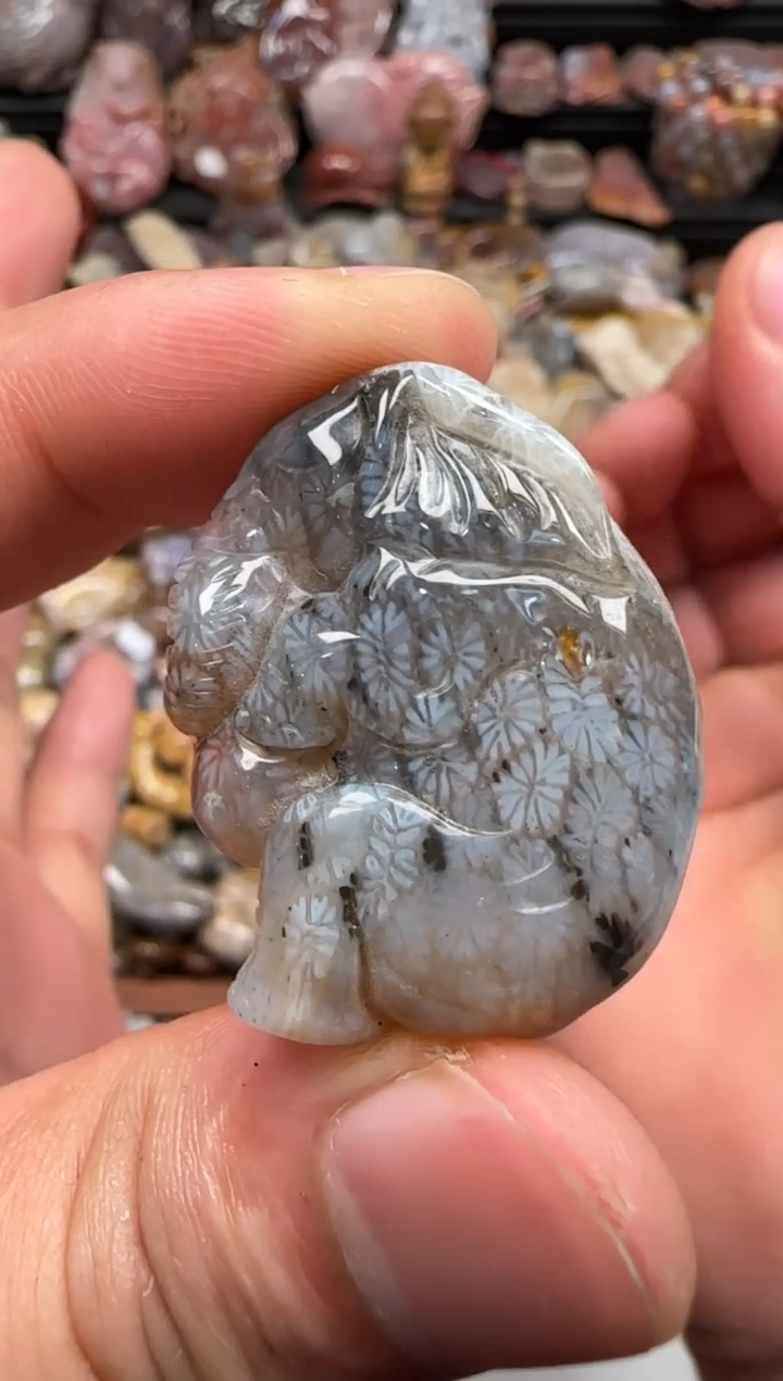 【闪购商品】硅化珊瑚（珊瑚玉）颈饰未镶嵌674