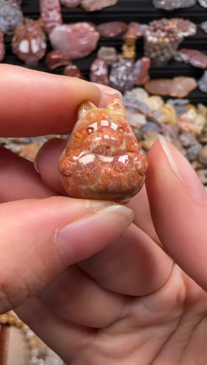 【闪购商品】硅化珊瑚（珊瑚玉）颈饰未镶嵌437