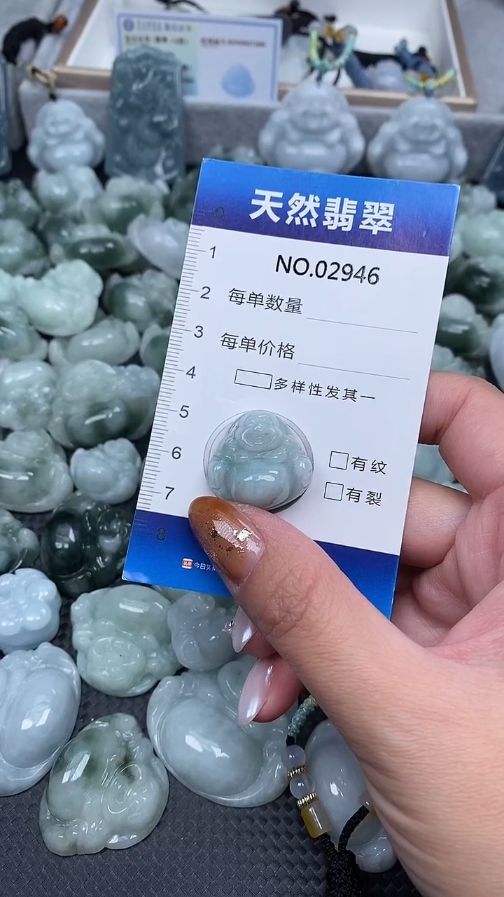 颈饰未镶嵌翡翠纯天然A货翡翠2946