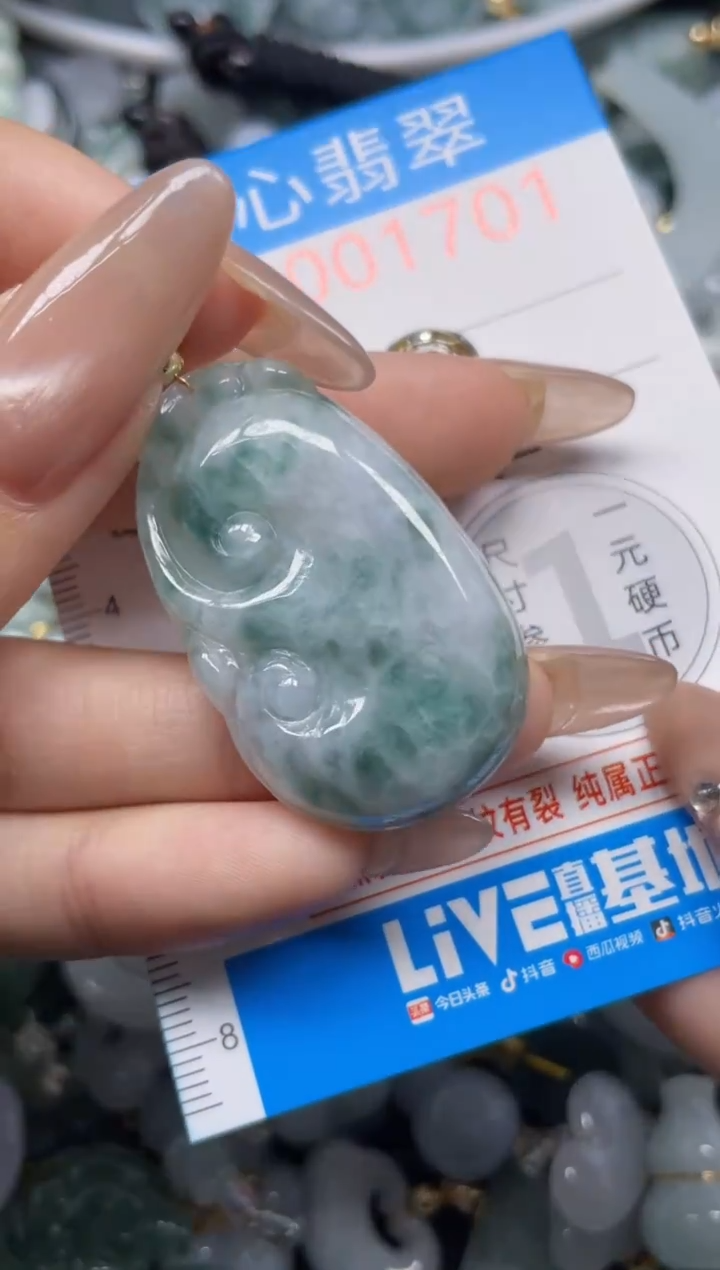 颈饰未镶嵌翡翠1701