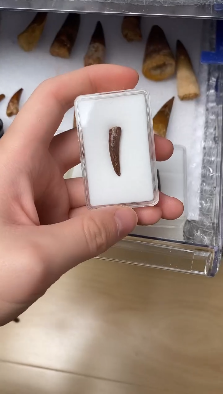 逸*精美摆件创意礼物家居配饰新年礼物个人收藏