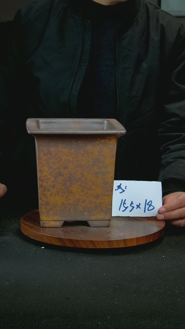 【闪购商品】紫砂S58