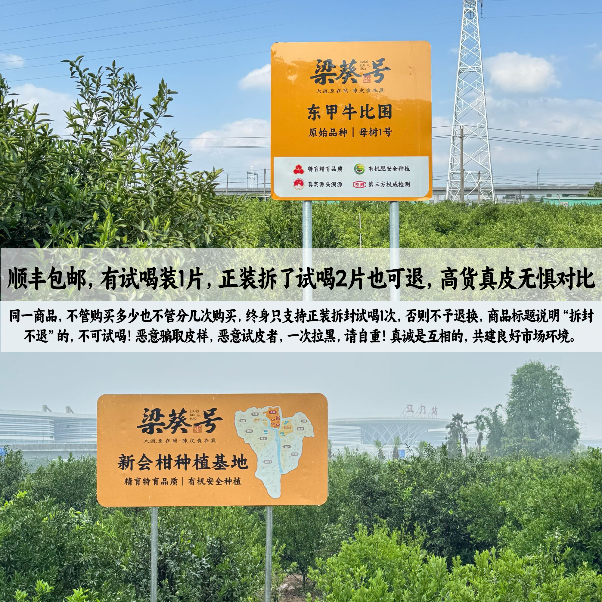 【小葵孤品稀缺老皮-临时链接2】新会陈皮