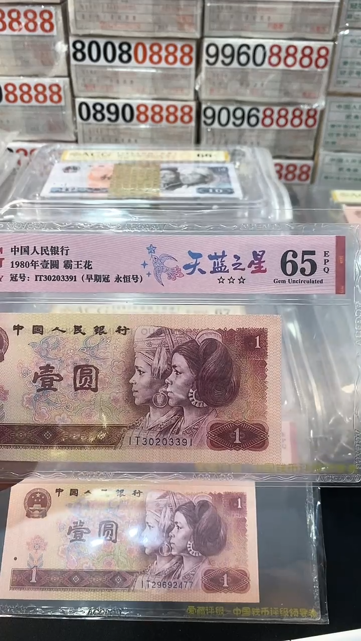 【闪购商品】801天蓝之星IT30203391