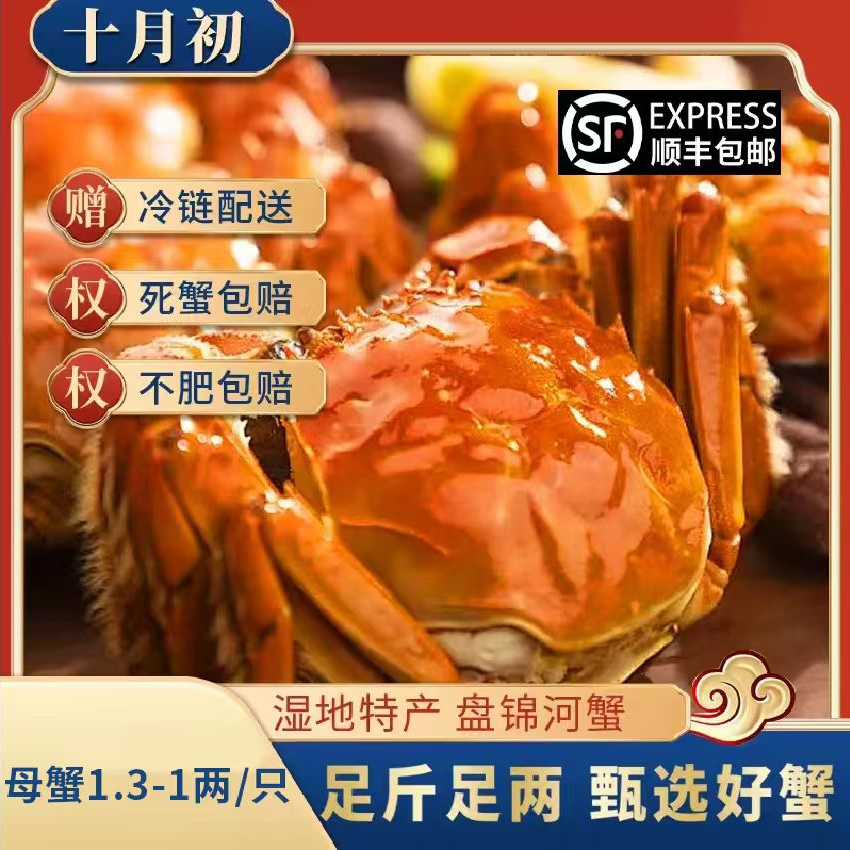 【活蟹】盘锦稻田蟹 全母蟹1.3-1两/只 2/3斤 顺丰包邮  礼盒包装