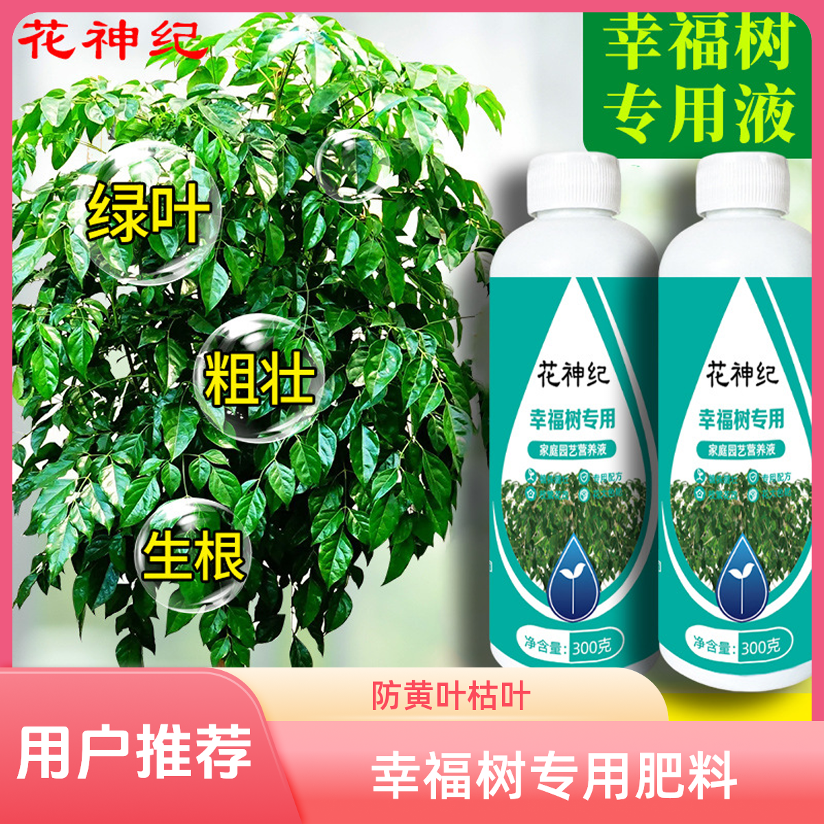 幸福树专用肥料营养液防黄叶枯叶掉叶龙血树金钱树发财树绿植盆栽