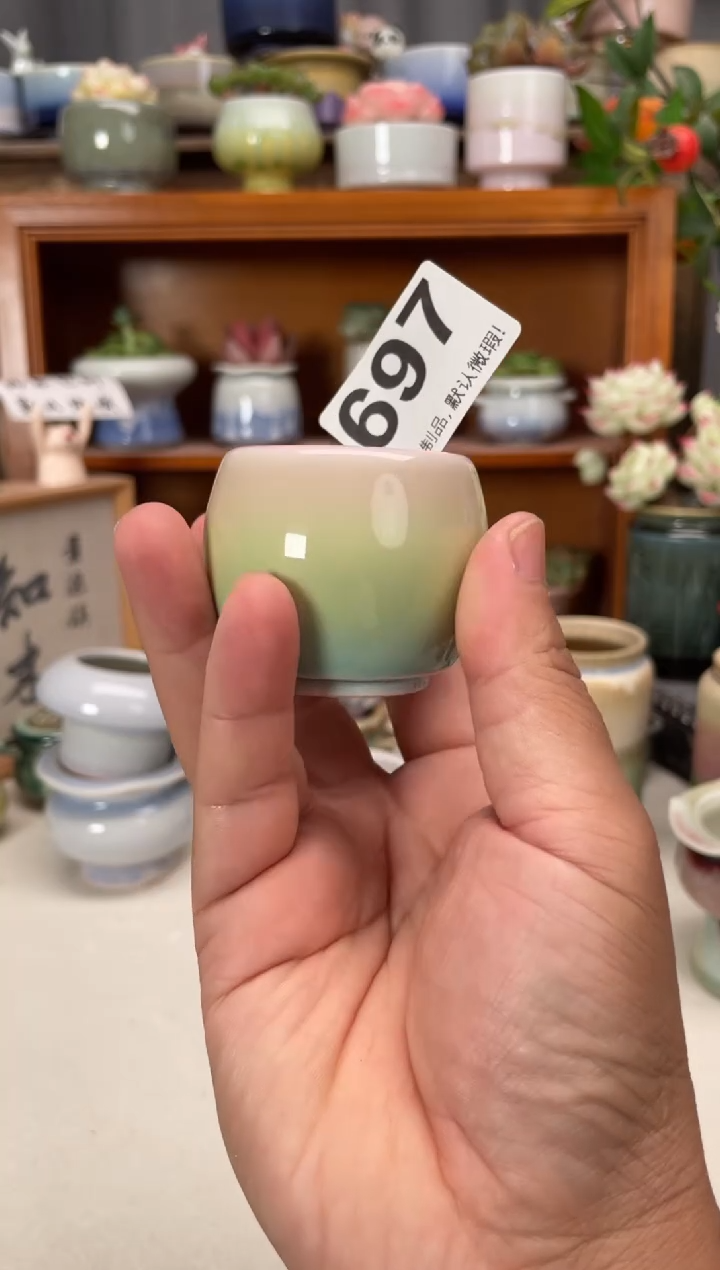 瓷片697知木花盆小芳