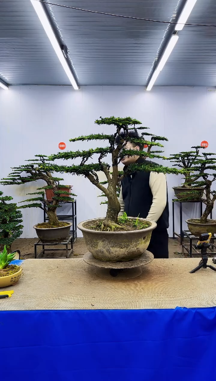 完全开放一物一拍，所见即所得