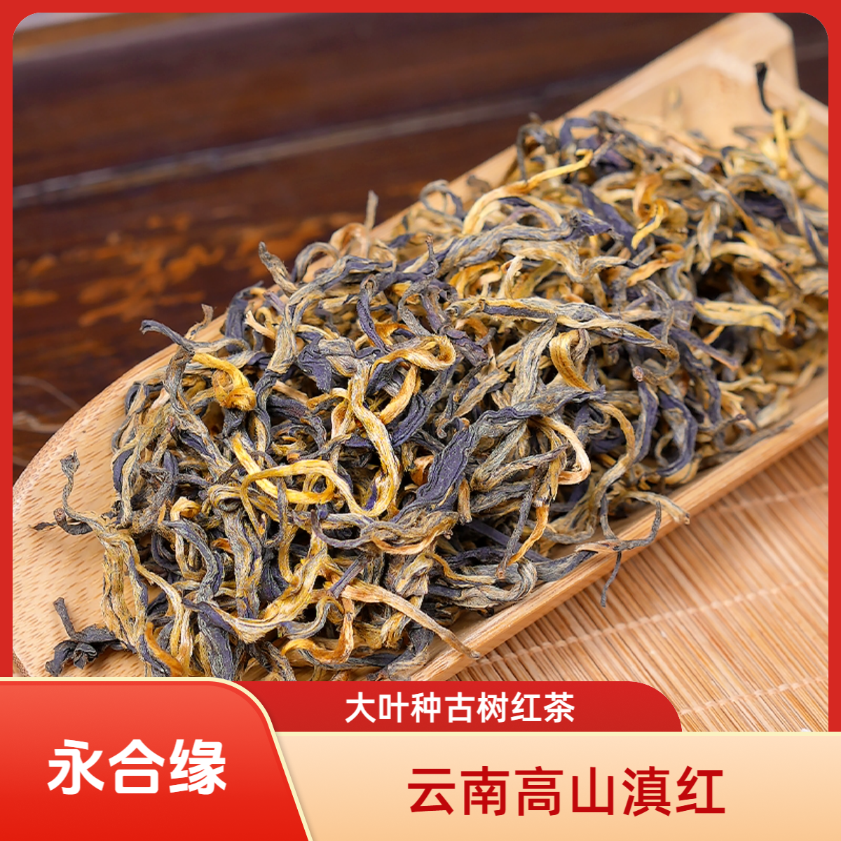 云南滇红特级红茶澜沧古树滇红红茶芽头肥硕香气高长口感醇厚