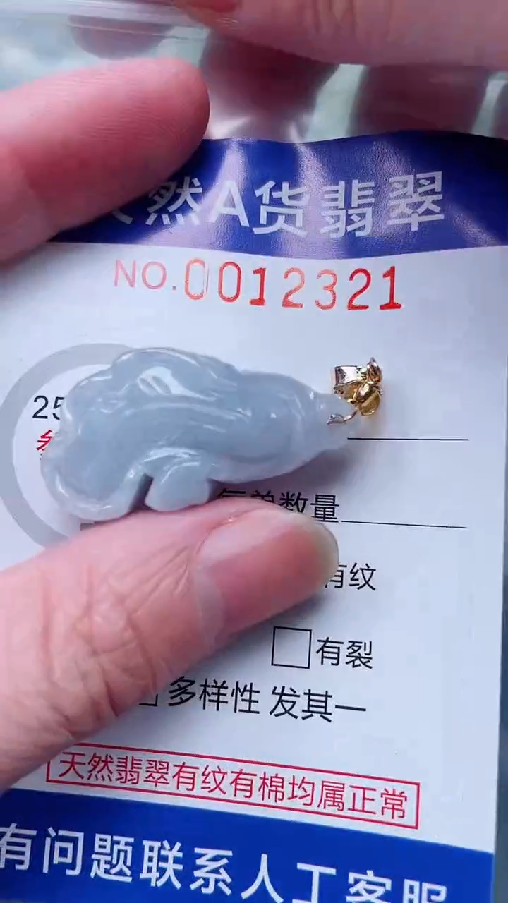 翡翠未镶嵌吊坠(不含链)1