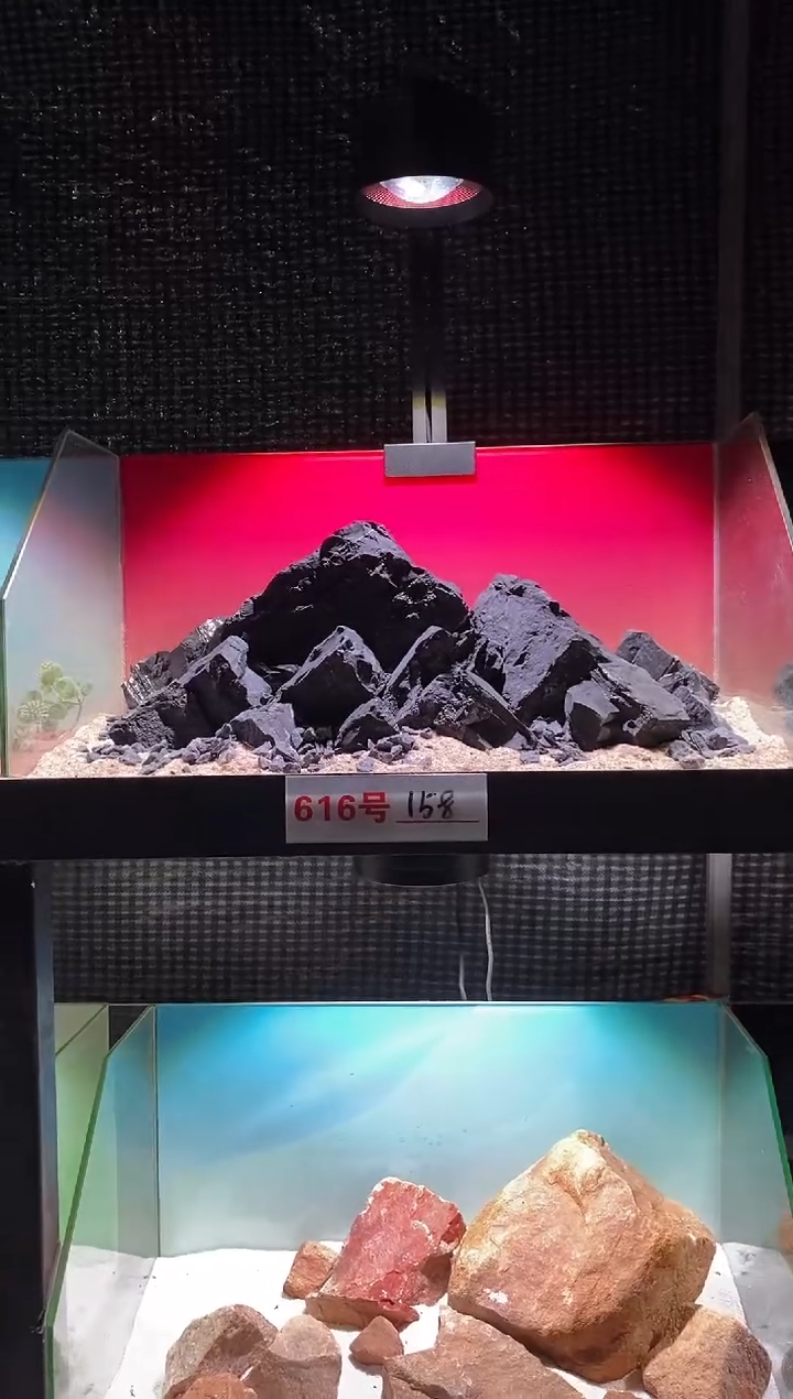 616号鱼缸造景（包含底砂）