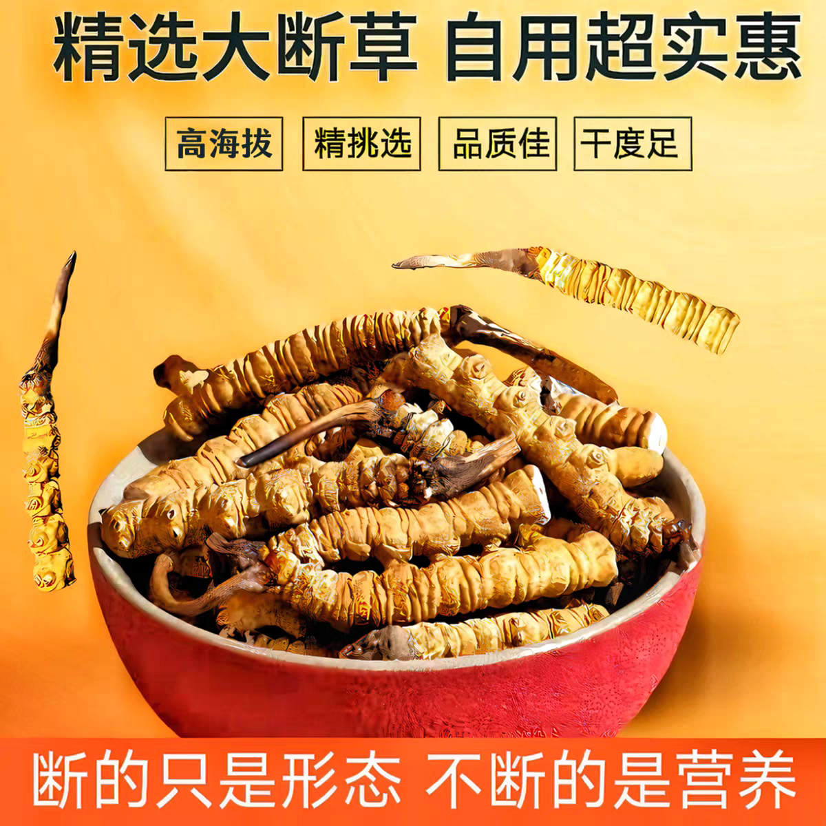 【头茬去头断草】2025头期干草高海拔藏区虫草滋补高性价比自用佳品