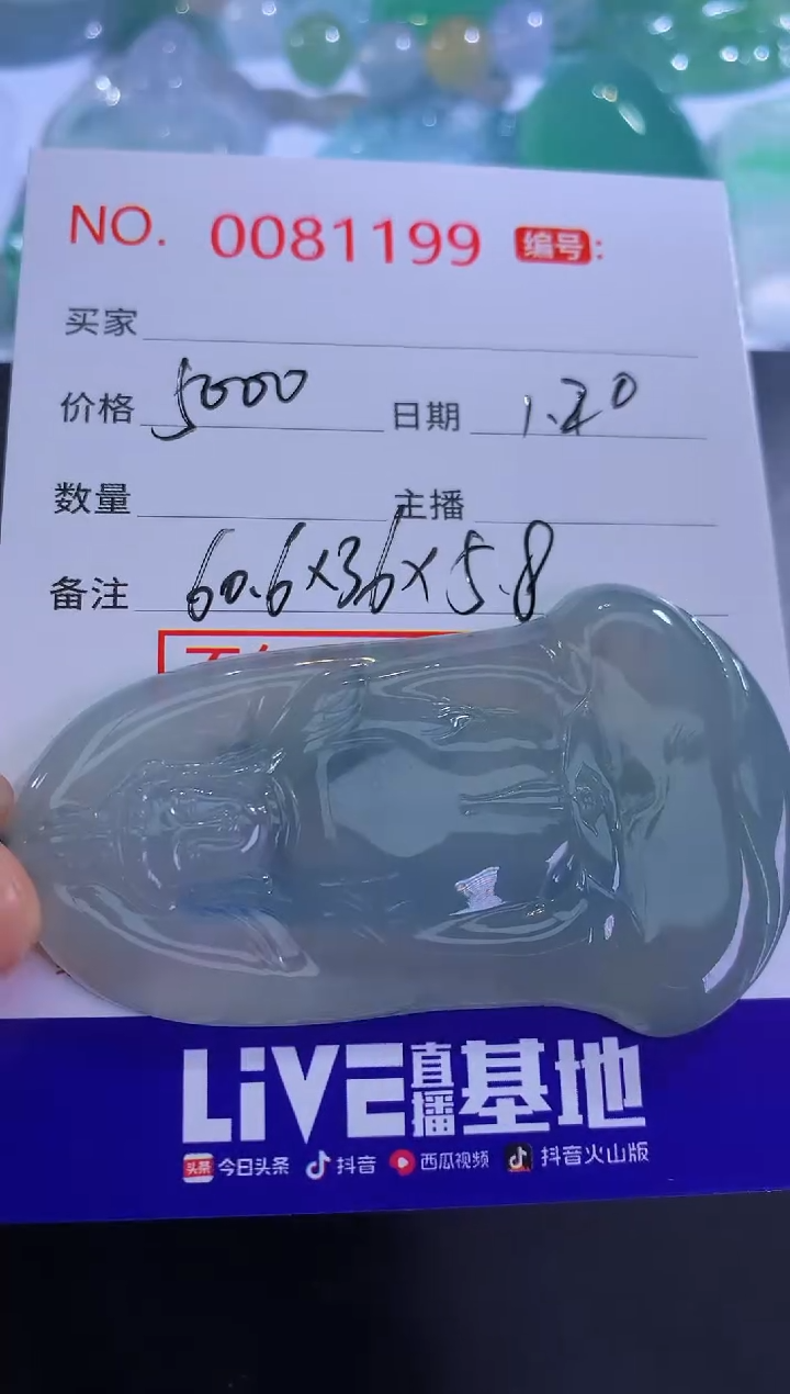 【闪购商品】翡翠颈饰未镶嵌！