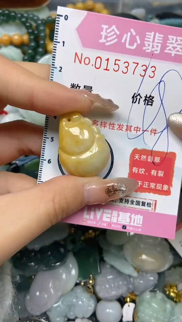 【闪购商品】翡翠颈饰未镶嵌闪购0153733