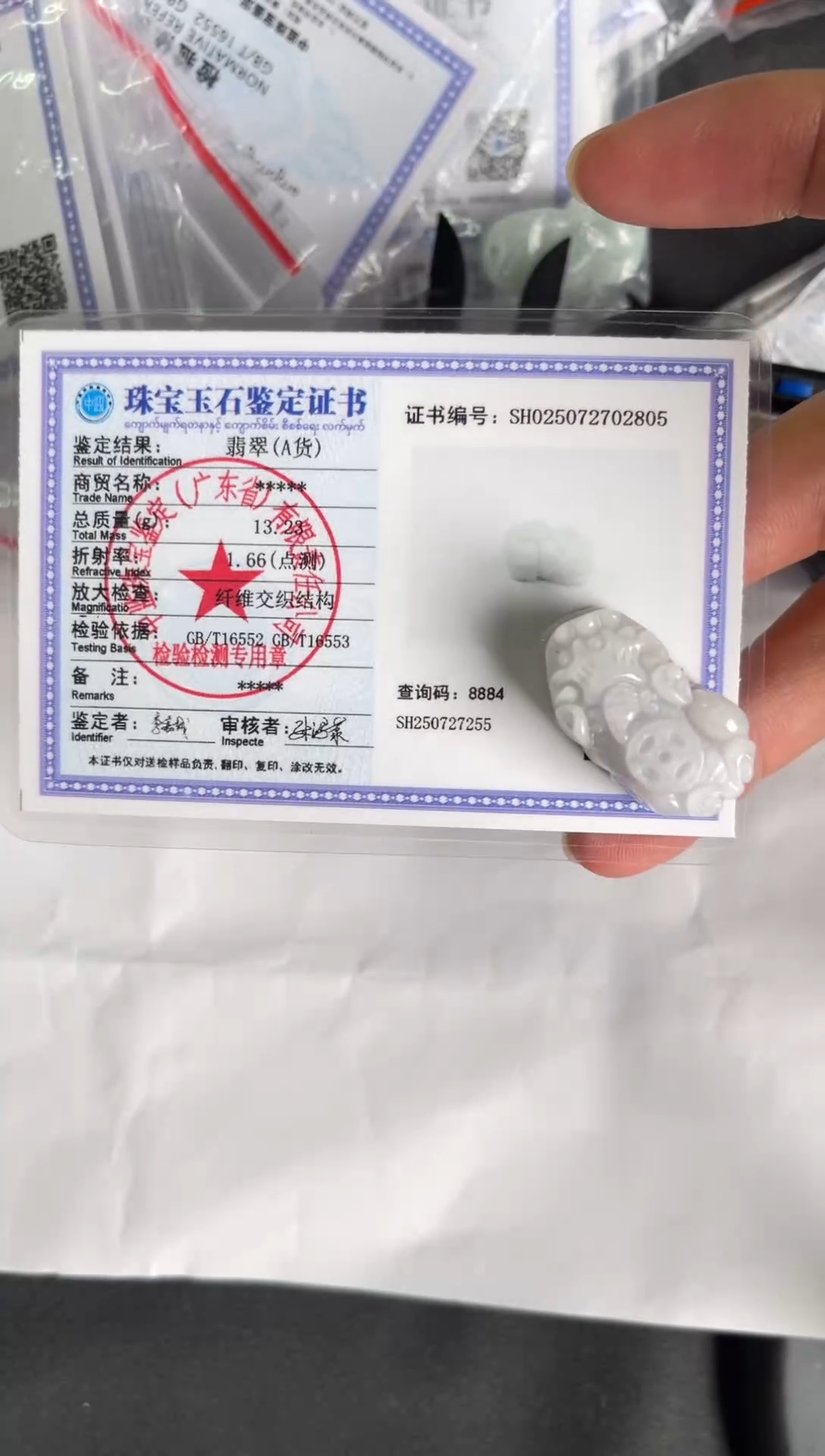 翡翠未镶嵌颈饰貔貅