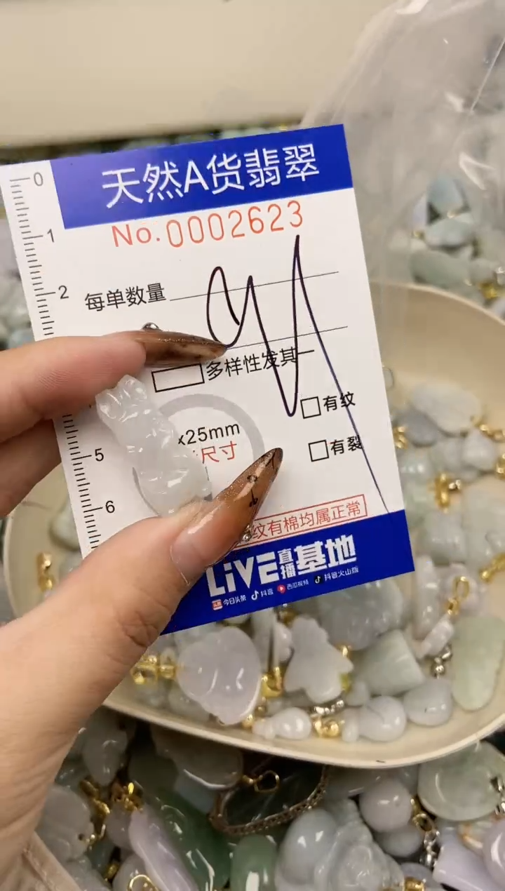 【闪购商品】翡翠颈饰未镶嵌天然A货翡翠