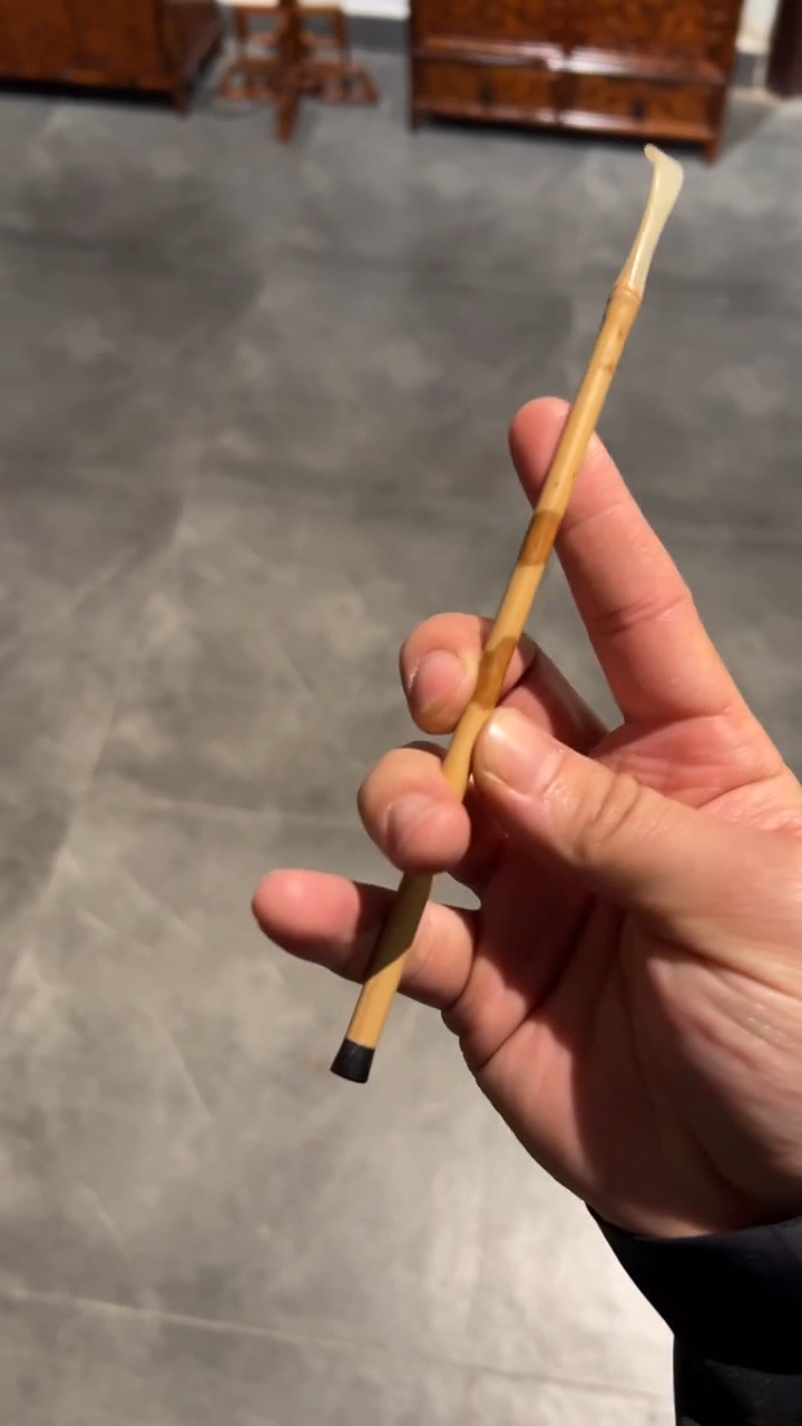 竹湘妃竹茶拨福建妃