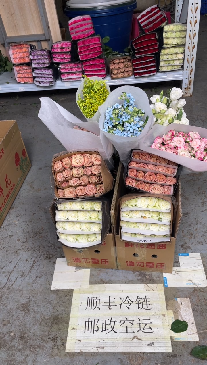 骄傲+卡布+折射+白桔梗800克+蓝星花+黄莺