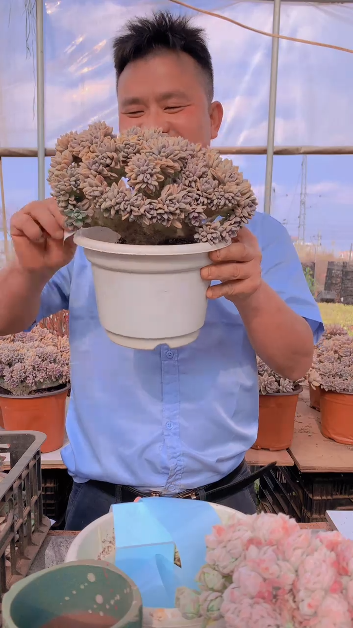 【闪购商品】缀化129