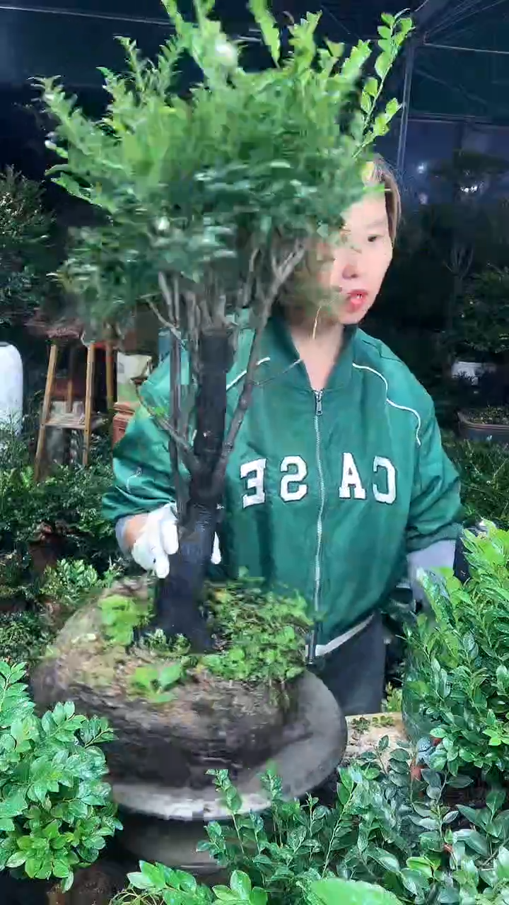 完全开放11111111