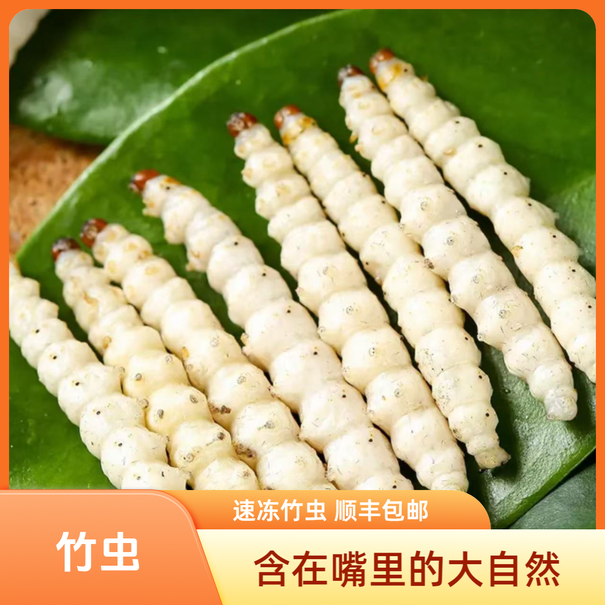 竹虫竹节虫速冻竹香虫小竹蜂儿竹蛹速冻昆虫美食