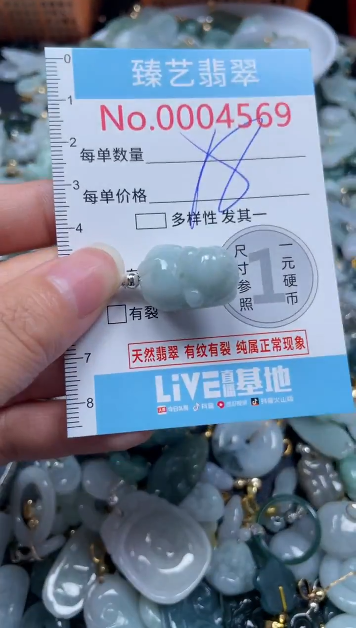 颈饰未镶嵌翡翠4569