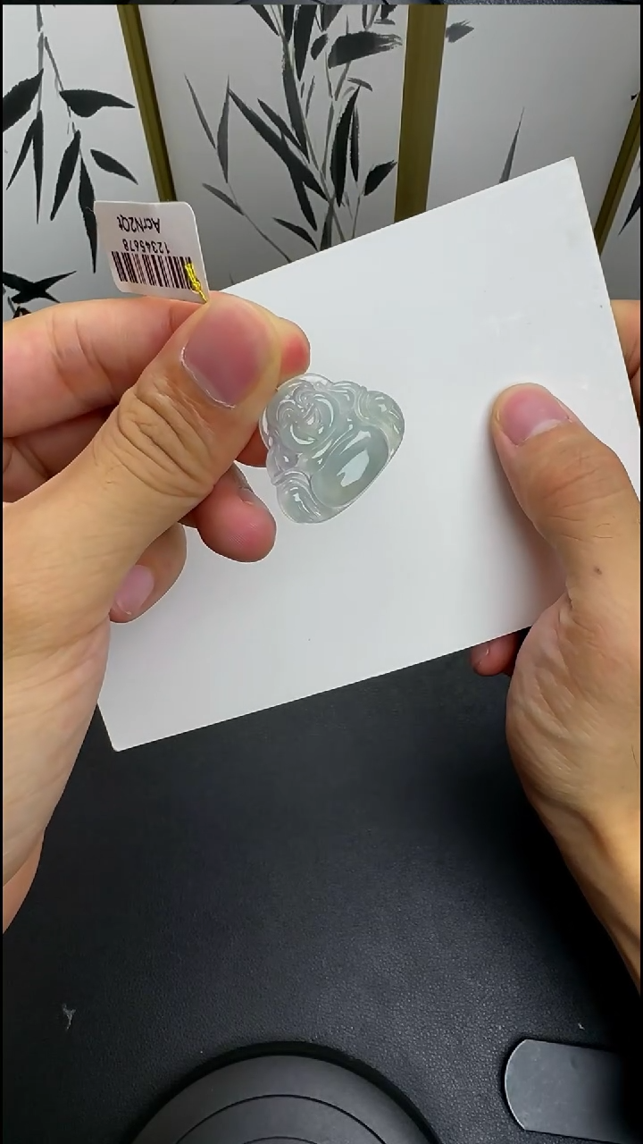 翡翠未镶嵌颈饰DSD0806071