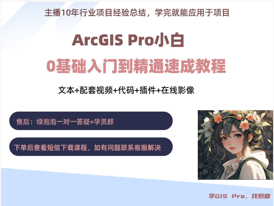 ArcGIS  Pro教程（文本+配套视频+代码+插件+课程答疑）