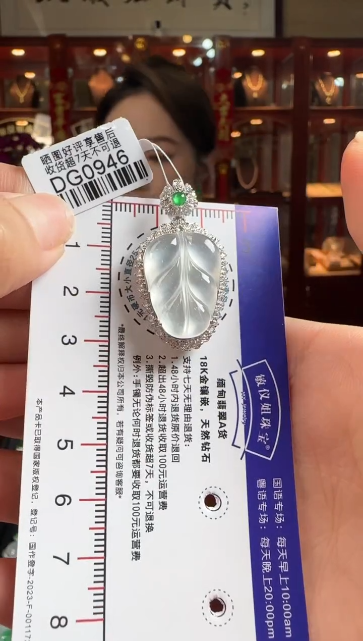 【闪购商品】翡翠颈饰18K金镶嵌DG0946冰叶子