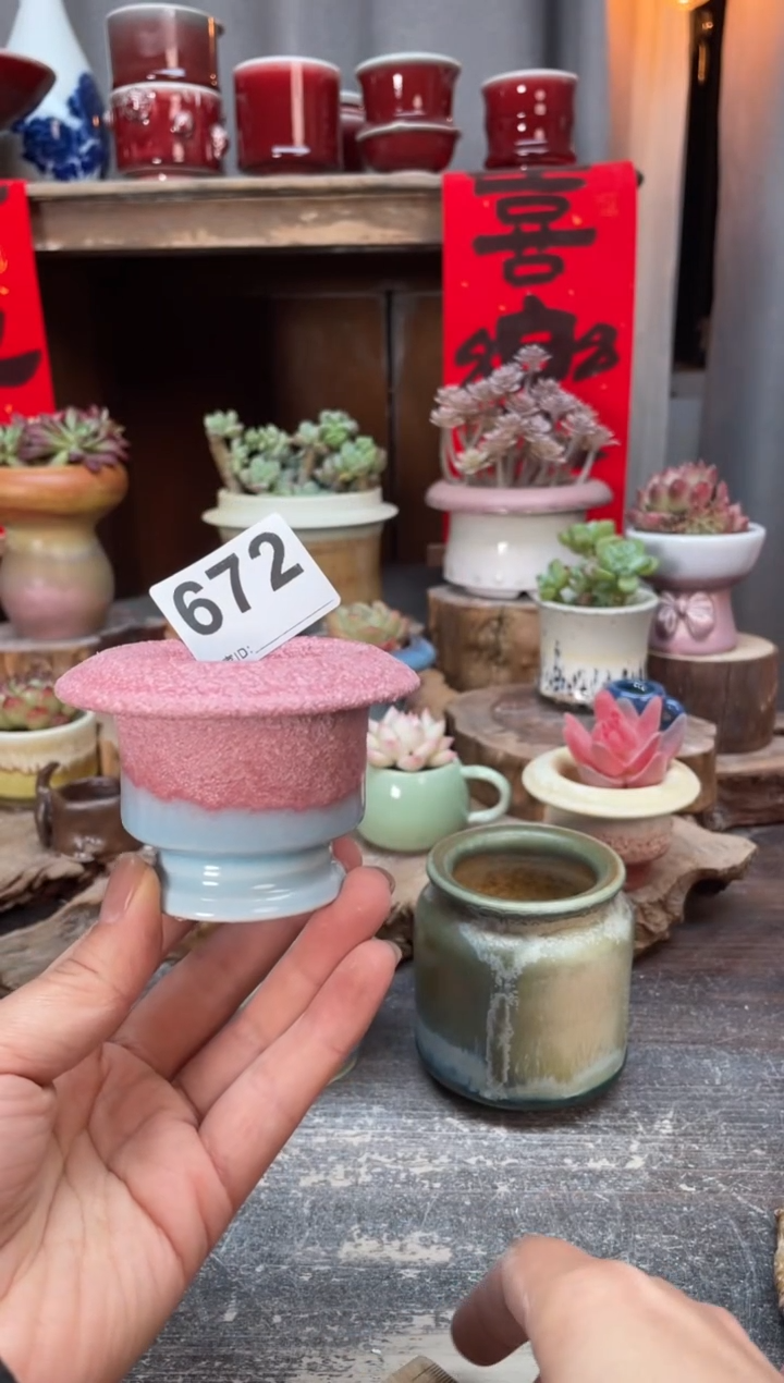 【闪购商品】摆件672知木小芳花盆